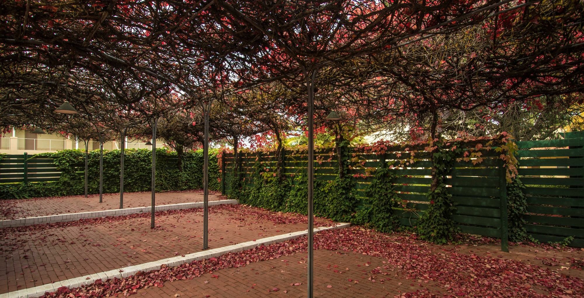 Barossa Weintal Hotel Танунда Экстерьер фото
